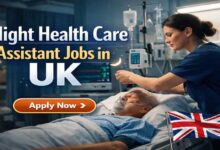 Night Health Care Assistant Jobs in UK