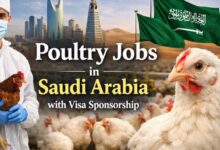 Poultry Jobs in Saudi Arabia with Visa Sponsorship