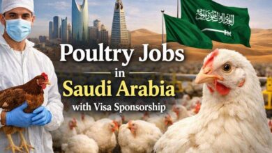 Poultry Jobs in Saudi Arabia with Visa Sponsorship