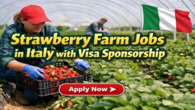 Strawberry Farm Jobs in Italy with Visa Sponsorship