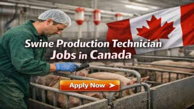 Swine Production Technician Jobs in Canada