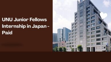 UNU Junior Fellows Internship in Japan