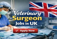 Veterinary Surgeon Jobs in UK