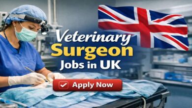 Veterinary Surgeon Jobs in UK