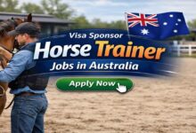 Visa Sponsor Horse Trainer Jobs in Australia