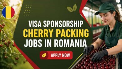 Visa Sponsorship Cherry Packing Jobs in Romania