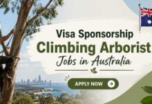 Visa Sponsorship Climbing Arborist Jobs in Australia