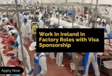 Work In Ireland In Factory Roles with Visa Sponsorship