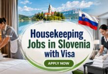 Housekeeping Jobs in Slovenia with Visa