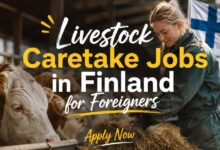 Livestock Caretake Jobs in Finland for Foreigners