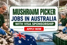 Mushroom Picker Jobs in Australia with Visa Sponsorship