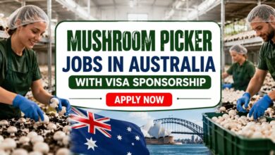 Mushroom Picker Jobs in Australia with Visa Sponsorship