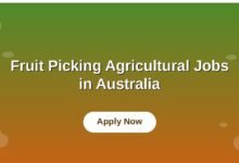 Fruit Picking Agricultural Jobs in Australia