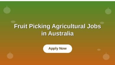 Fruit Picking Agricultural Jobs in Australia
