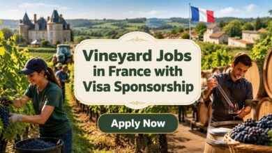 Vineyard Jobs in France with Visa Sponsorship