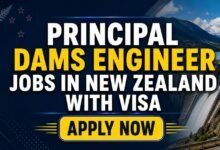 Principal Dams Engineer Jobs in New Zealand with Visa